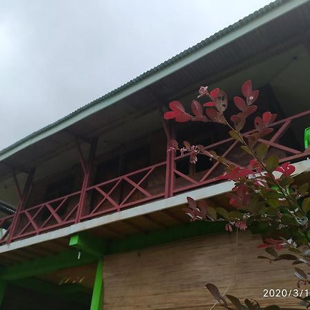 Green Forest Tangkahan Chambre photo