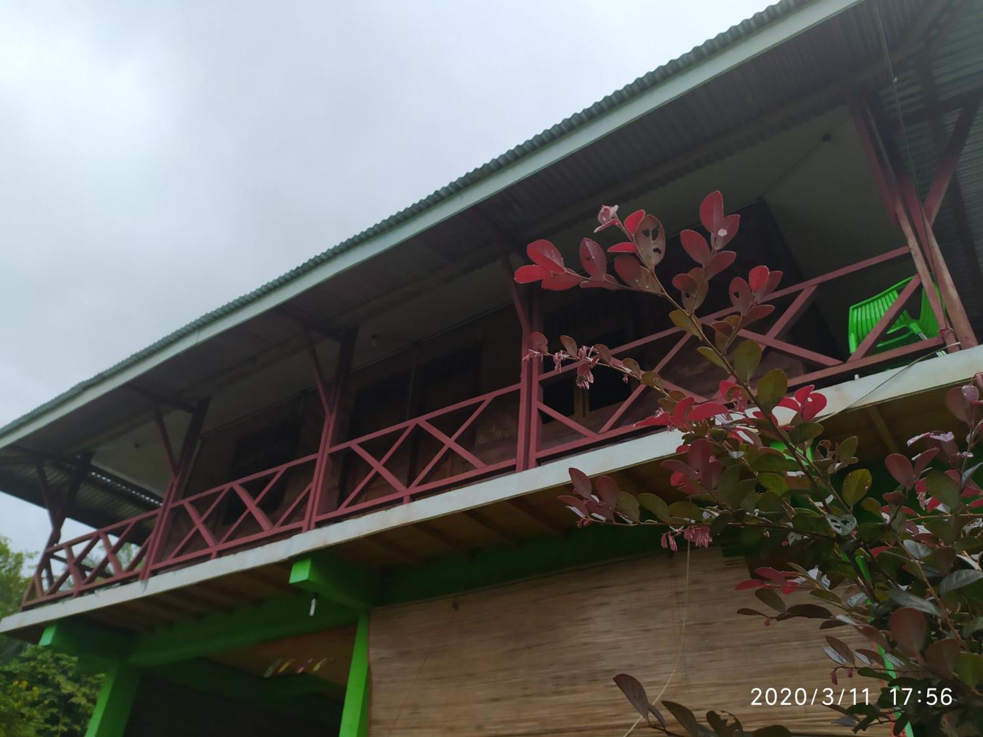 Green Forest Tangkahan Chambre photo