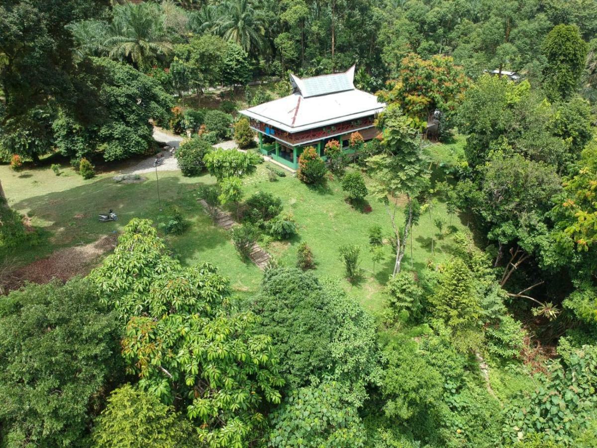 Green Forest Tangkahan Extérieur photo