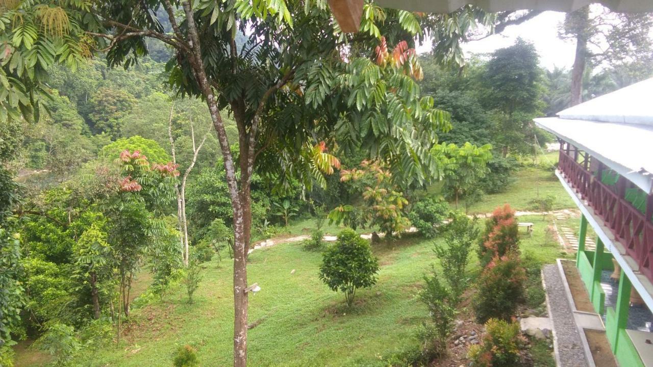Green Forest Tangkahan Extérieur photo